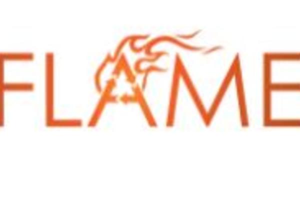 flame logo