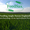 Feedsax field feedsax field